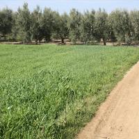 Земельный участок в Греции