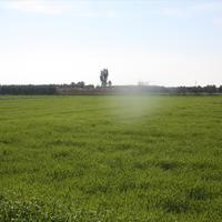 Земельный участок в Греции