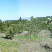 Land plot in Greece