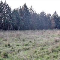 Land plot in Greece, 6000 sq.m.