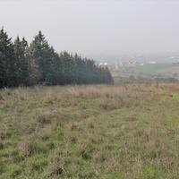 Land plot in Greece, 6000 sq.m.