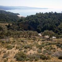 Land plot in Greece, 12000 sq.m.