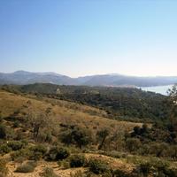 Land plot in Greece, 12000 sq.m.