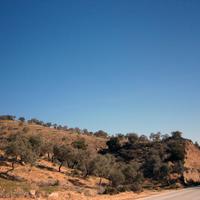 Land plot in Greece, 12000 sq.m.