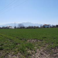 Land plot in Greece, 4000 sq.m.
