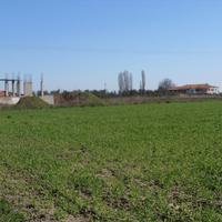 Land plot in Greece, 4000 sq.m.