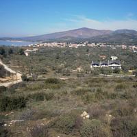 Land plot in Greece, 5500 sq.m.