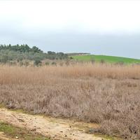 Land plot in Greece