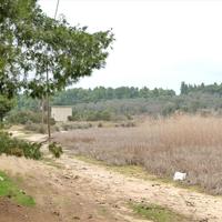 Land plot in Greece
