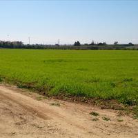 Земельный участок в Греции, 8800 кв.м.