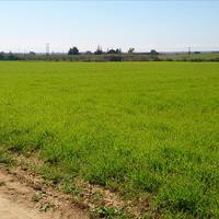 Земельный участок в Греции, 8800 кв.м.