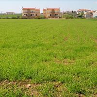 Земельный участок в Греции, 8800 кв.м.