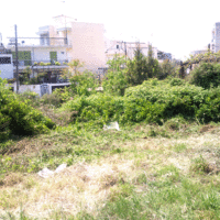 Land plot in Greece, 135 sq.m.