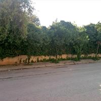 Land plot in Greece, 655 sq.m.