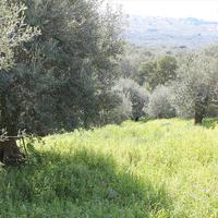 Land plot in Greece, 1300 sq.m.
