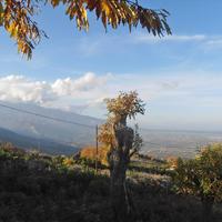 Земельный участок в Греции