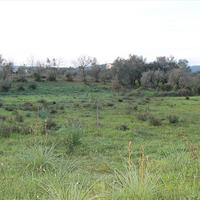 Земельный участок в Греции, 5700 кв.м.