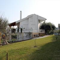 Business center in Greece, 510 sq.m.