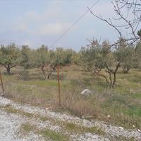 Land plot in Greece, 4700 sq.m.