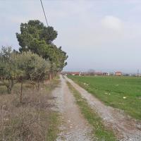 Land plot in Greece, 4700 sq.m.