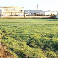 Земельный участок в Греции, 12200 кв.м.