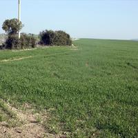 Земельный участок в Греции, 200000 кв.м.