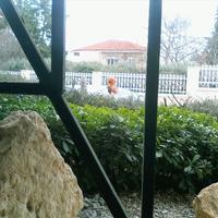 Другое в Греции, 159 кв.м.