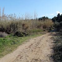 Земельный участок в Греции