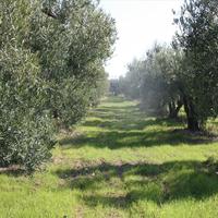 Земельный участок в Греции