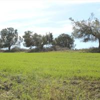 Земельный участок в Греции