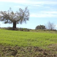 Земельный участок в Греции