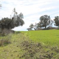 Земельный участок в Греции