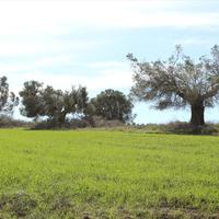 Земельный участок в Греции