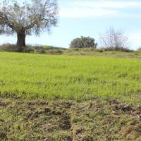 Земельный участок в Греции