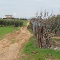 Land plot in Greece