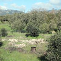 Земельный участок в Греции, 120 кв.м.