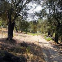 Земельный участок в Греции, 108000 кв.м.