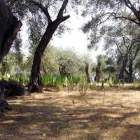 Земельный участок в Греции, 108000 кв.м.