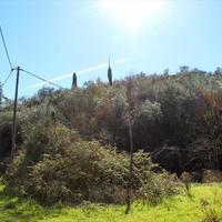 Земельный участок в Греции, 6700 кв.м.