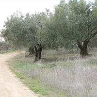 Земельный участок в Греции, 1410 кв.м.