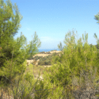 Земельный участок в Греции