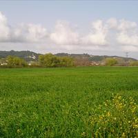 Land plot in Greece