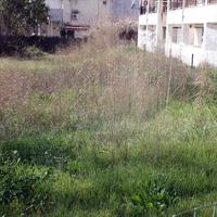 Land plot in Greece, 4000 sq.m.