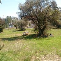 Land plot in Greece