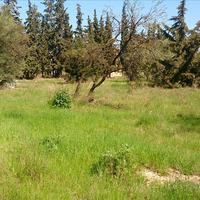 Land plot in Greece