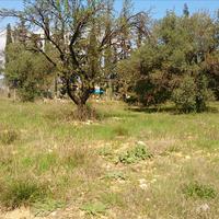 Land plot in Greece