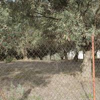 Land plot in Greece, 6869 sq.m.