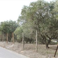 Land plot in Greece, 6869 sq.m.