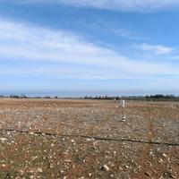 Land plot in Greece, 4500 sq.m.
