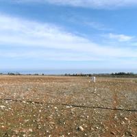 Land plot in Greece, 4500 sq.m.